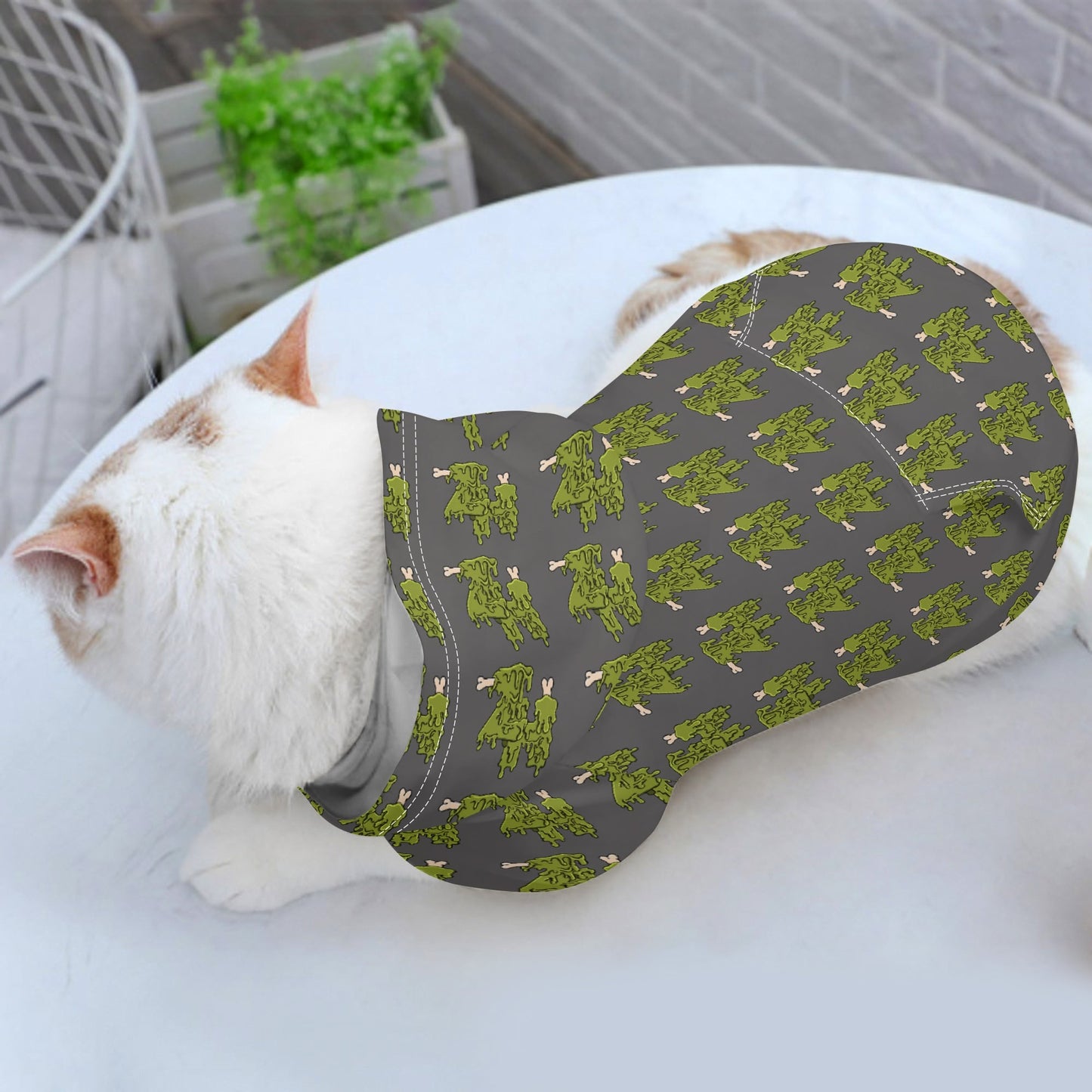 Pet Pullover Hoodie